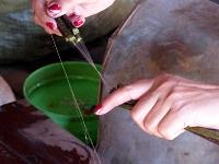 Lac Inle (39)